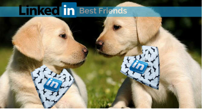 If LinkedIn Isn’t Your “Job Search Best Friend”, Do You Know Why It Should Be?